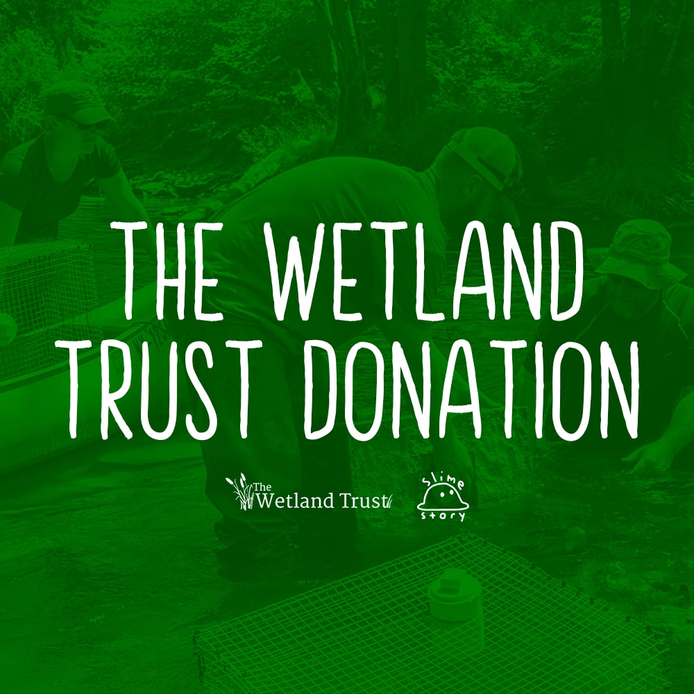 Donation to The Wetlands Trust